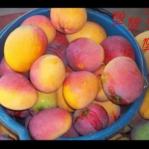 Meet your Posher, Ana